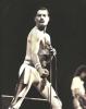 Freddie