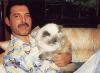freddie_mercury_67